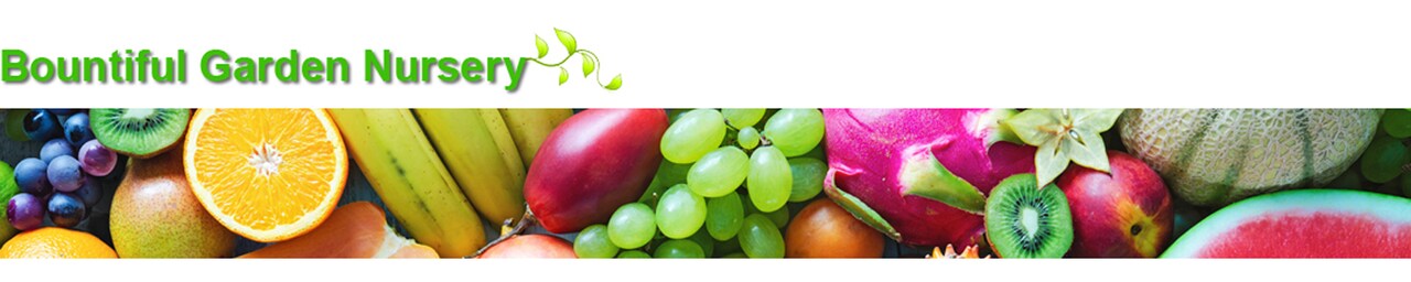 storefront banner